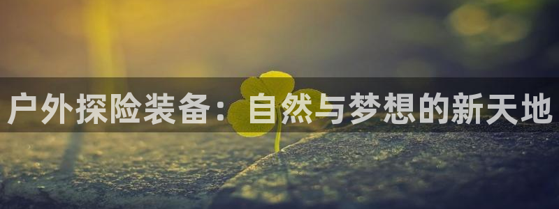 先锋电子车载娱乐系统