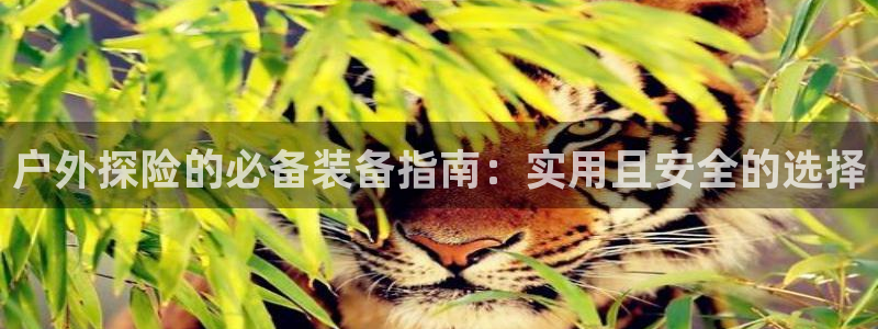先锋娱乐入口