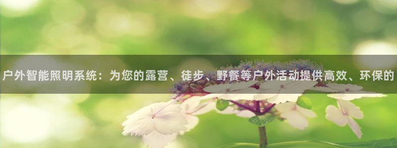 先锋国际娱乐