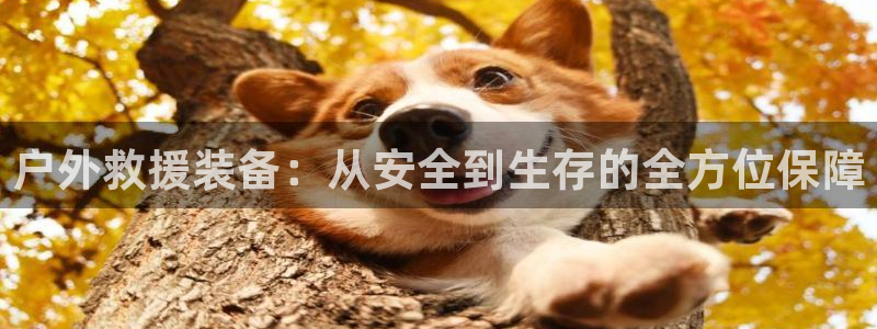 先锋娱乐公司