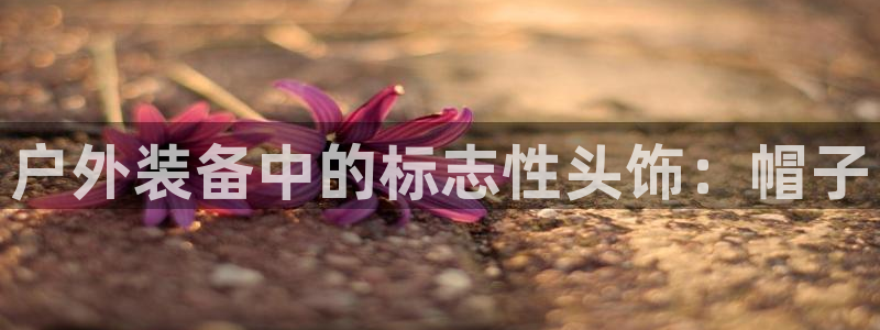 先锋娱乐电话