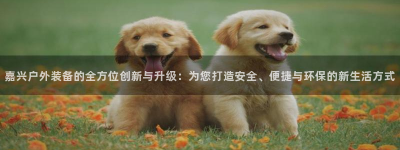 先锋娱乐科技