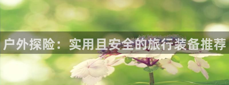 先锋队娱乐