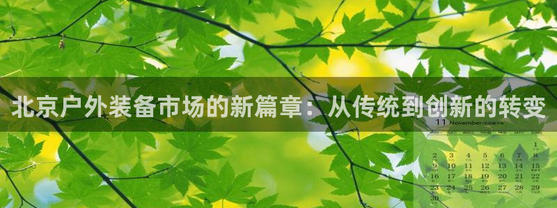 先锋电子旗下先锋娱乐