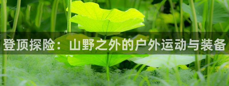 先锋娱乐邀请码多少位啊