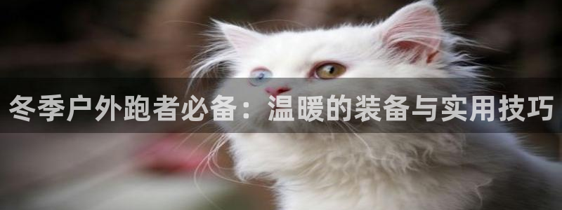 亚洲先锋娱乐行情