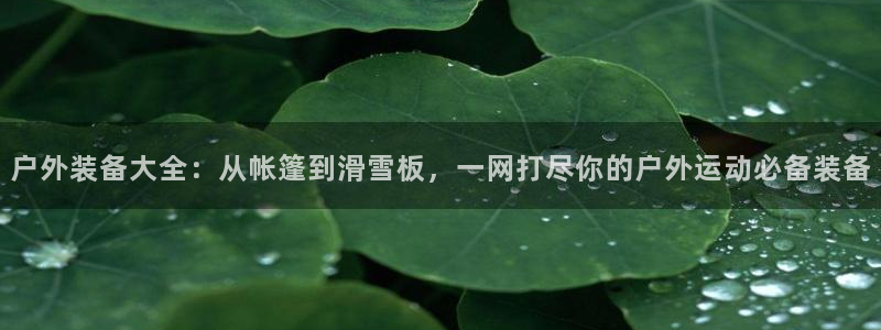 先锋娱乐币