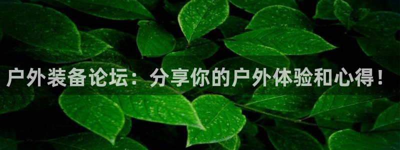 先锋娱乐赛