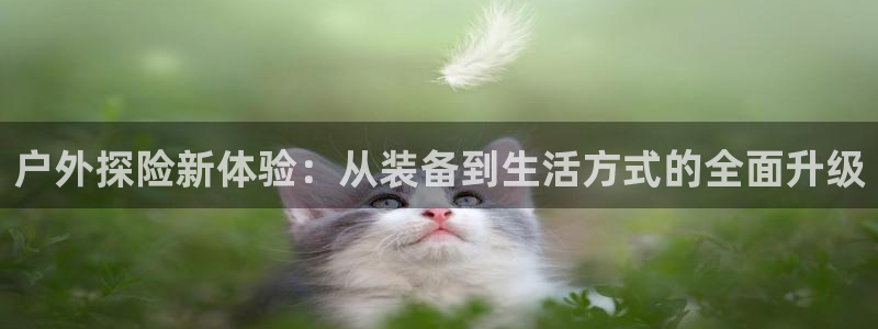 先锋娱乐情报