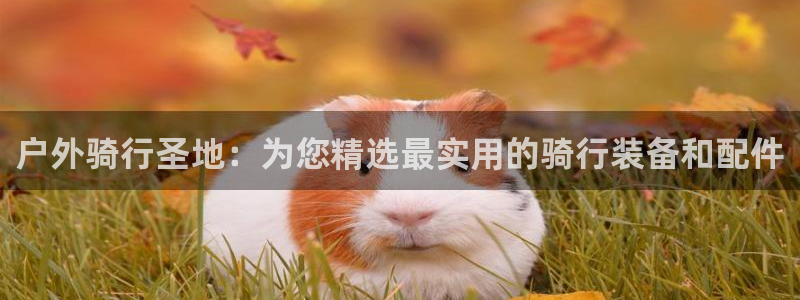 先锋娱乐挂