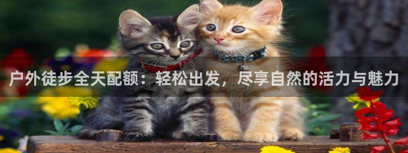 先锋娱乐大厅有挂吗