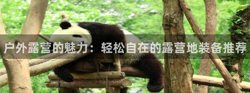 先锋娱乐账号注册不了