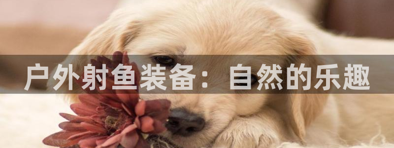 先锋娱乐大厅牛牛