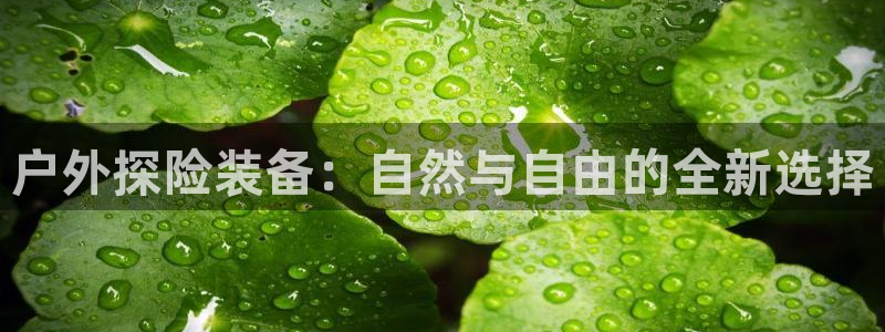 先锋娱乐属于违法吗