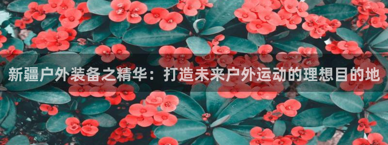 先锋娱乐管理集团怎么样