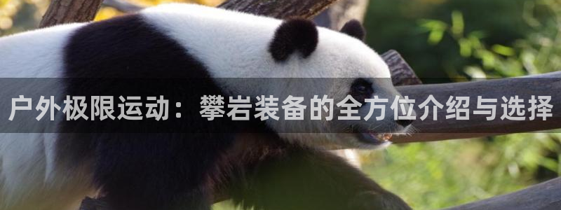 先锋娱乐链接