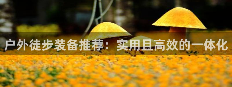 贵州先锋娱乐