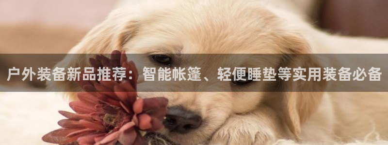 先锋娱乐系统