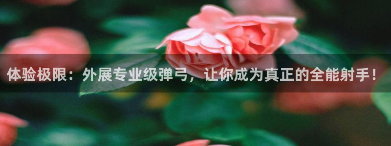 先锋娱乐大厅有挂吗