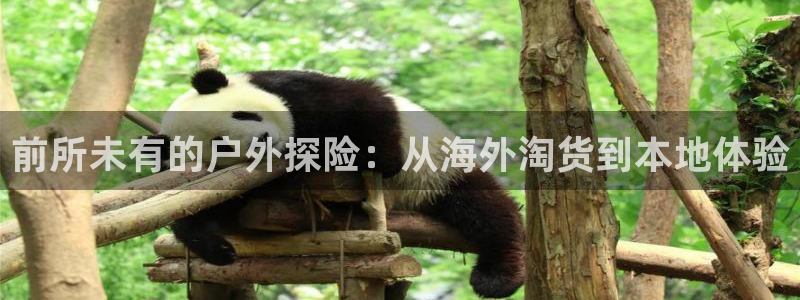 先锋娱乐垫付金额