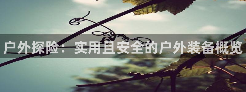 先锋娱乐管理集团