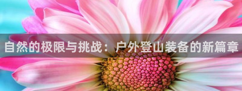 先锋电玩娱乐