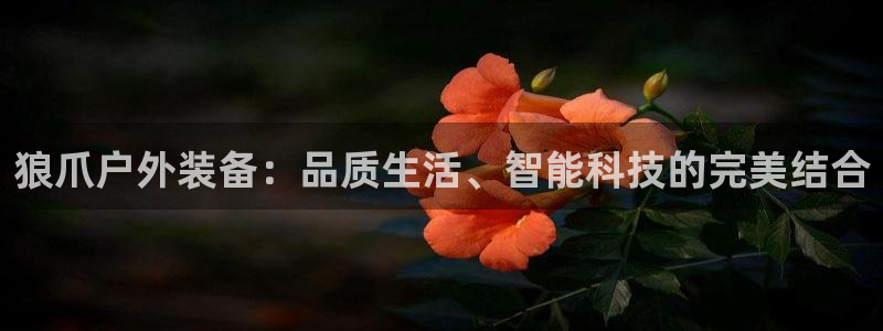 先锋娱乐公司