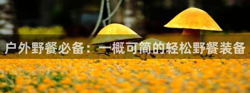 先锋娱乐公司