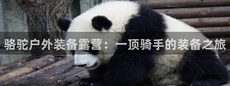 先锋娱乐汇