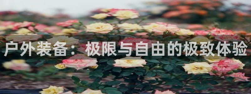 先锋娱乐扑克