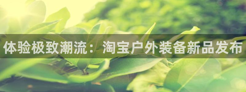 先锋娱乐集团公司