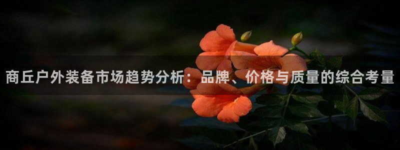 先锋娱乐管理集团