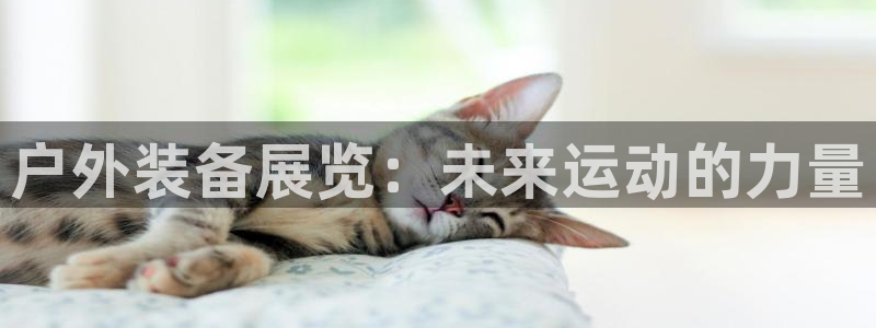 亚洲先锋娱乐行情