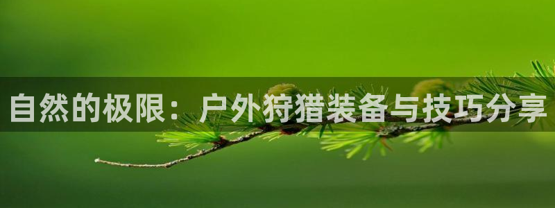 先锋娱乐热点