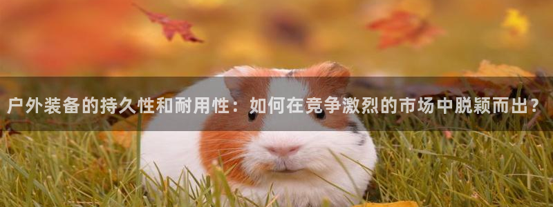 先锋娱乐软件