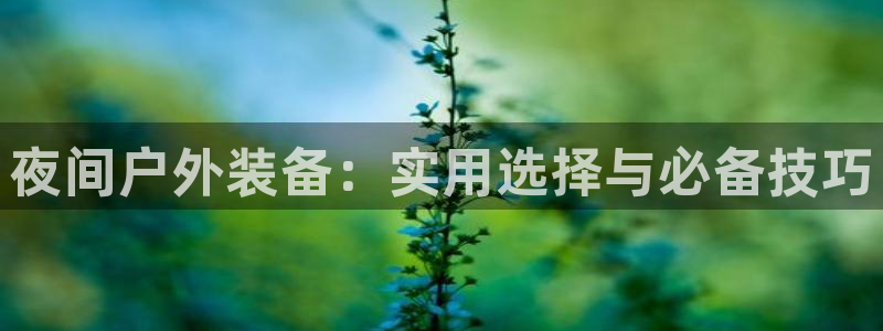 威斯汀娱乐先锋