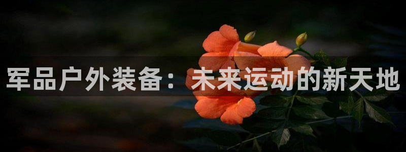 先锋娱乐传媒
