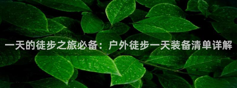 先锋电玩娱乐