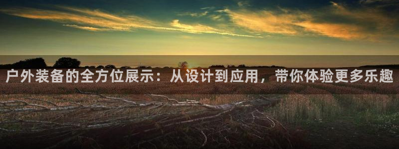 先锋娱乐简介图片