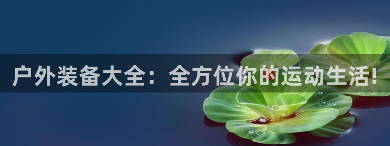 先锋娱乐资讯官网入口