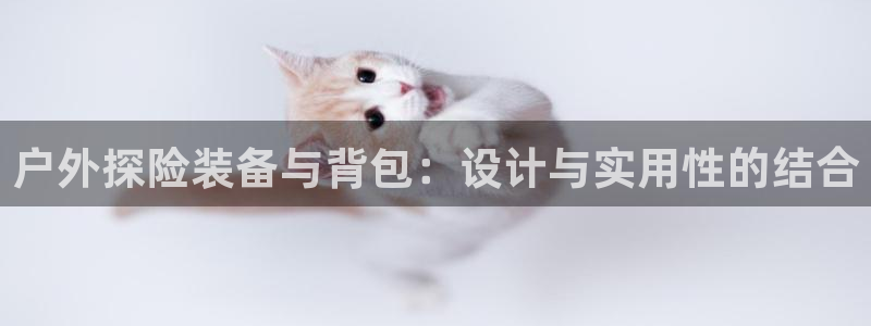 先锋娱乐官