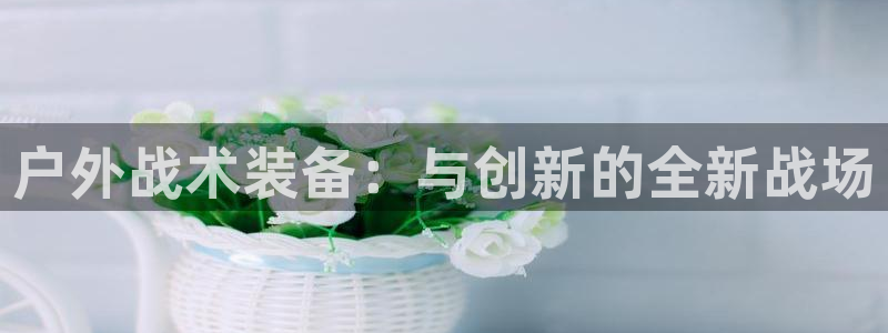 先锋娱乐公司