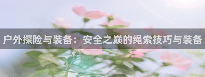 先锋娱乐官