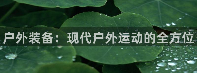 威斯汀娱乐先锋