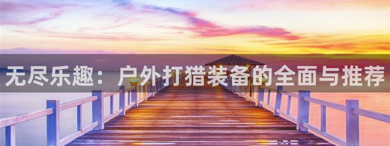 先锋娱乐简介图片