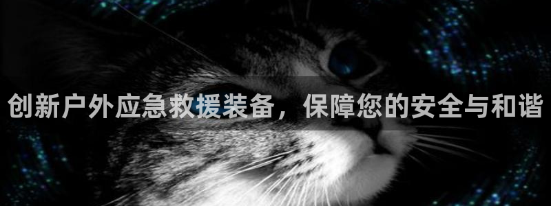 先锋娱乐电子游戏