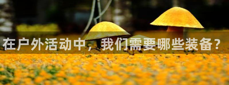 先锋娱乐大厅牛牛