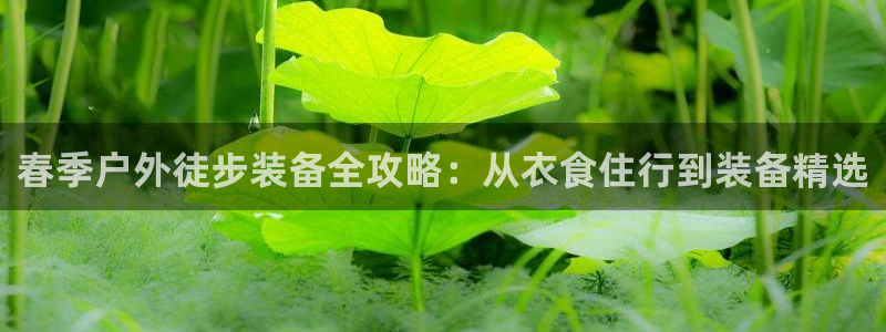 先锋娱乐体育管理集团