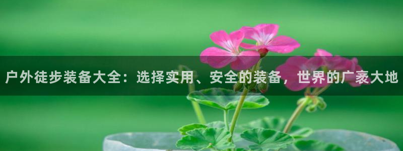 先锋娱乐管理集团