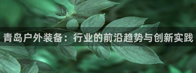 怎么下载先锋娱乐大厅